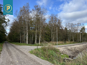 Taavi tee 1, Naage, Harku vald, Harjumaa (1 foto / 5)