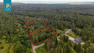 Taavi tee 1, Naage, Harku vald, Harjumaa (1 foto / 10)