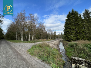 Taavi tee 1, Naage, Harku vald, Harjumaa (6 foto / 10)