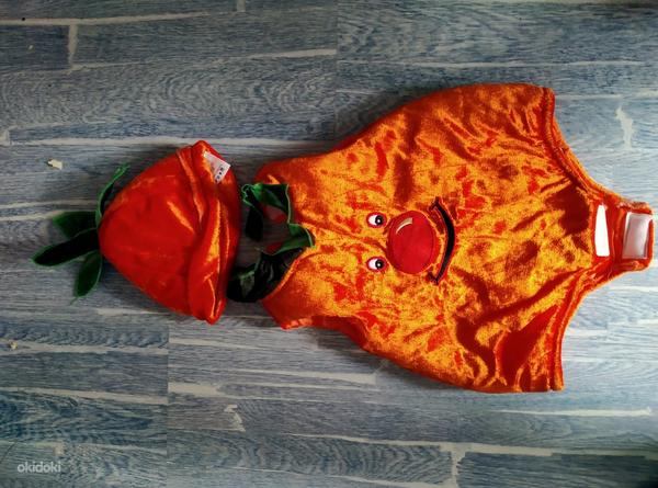 Beebi kõrvitsa kostüüm (foto #1)