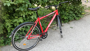 Jalgratas Interbike 28" (2 foto / 4)