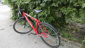 Jalgratas Interbike 28" (3 foto / 4)