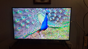 Samsung 4K 43' nutiteler 7 + Seinale kinnitamine kingituseks