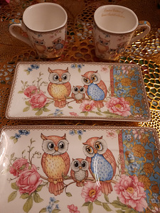 Tasside komplekt taldrikutega (2 foto / 7)