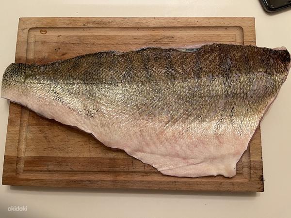 Свежая и копченая рыба из Чудского озера (фото #4)