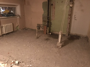 Teemant lõikamine (2 foto / 3)