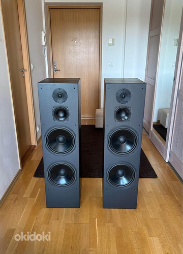 DALI 909 HiFi напольные колонки