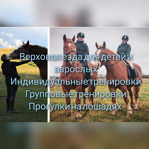 Обучение верховой езде (2 фото из 2)