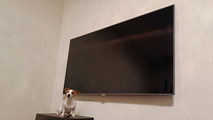 Üliõhuke 4K Philipsi teler Ambilight (7 foto / 10)