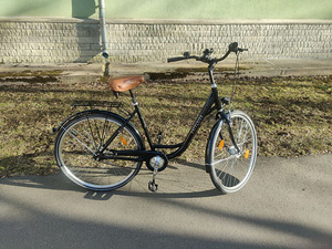 Excelsior Road Cruiser 28-дюймовый (5 фото из 10)