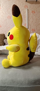 Pikachu (3 фото из 3)