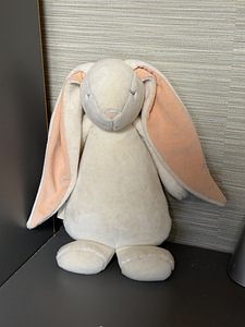 MOONIE (1 фото из 1)