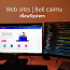 IT-teenused ja webilehted (foto #1)