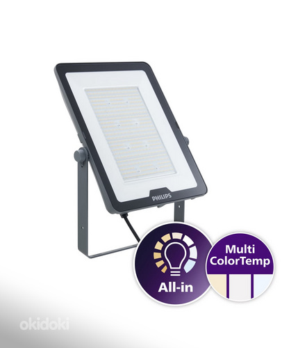 Прожектор Philips Ledinaire Floodlight