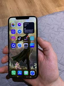 iPhone XS Макс 256 (3 фото из 8)