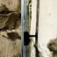 Крепление для маячного профиля (штукатурка или стяжка пола) (фото #4)