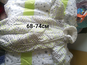 Beebiriided (8 foto / 10)
