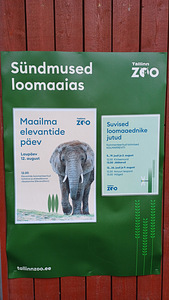Tallinna ZOO ekskursioon (7 foto / 10)