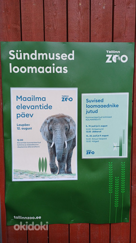 Экскурсия в ZOO - Таллиннский зоопарк (фото #7)