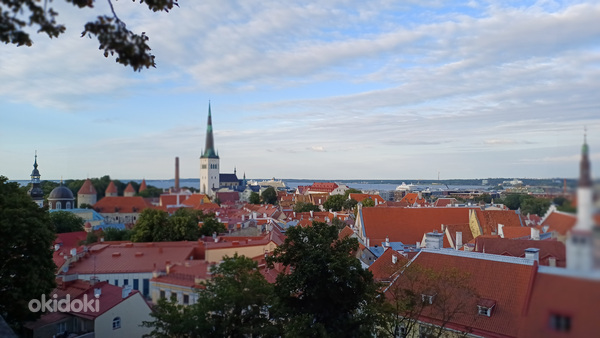 Vanalinna ekskursioon - Tallinn piltidel (foto #8)