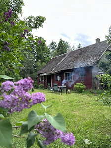 Pauastvere, Põltsamaa vald, Jõgevamaa (1 foto / 22)