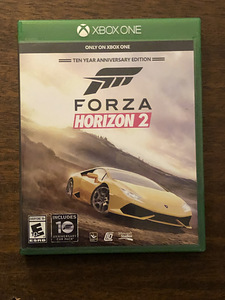 Forza Horizon plaat