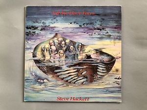 Steve Hackett / 5 vinüüli komplektis (10 foto / 10)