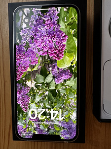 iPhone 12 Pro Max 128GB + kõrvaklapid kingituseks. (4 foto / 8)