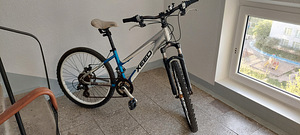 Noorte jalgratas XEED, 24" (3 foto / 4)