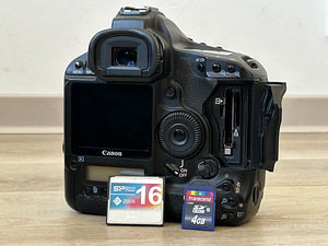 Canon EOS 1Ds Mk 3 (2 foto / 10)