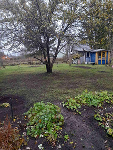 MÜÜA SUVILA KRUNT LEMMARUS (8 foto / 9)