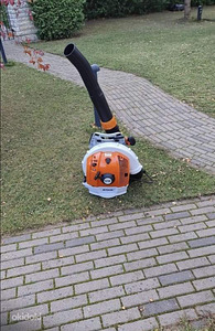 Puhastamine ja lehtede eemaldamine (2 foto / 2)