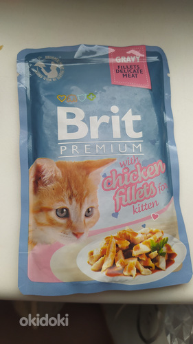 Briti kassipoegade toit (foto #3)
