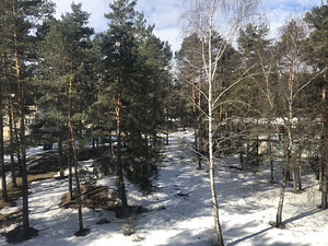 Virmalise tn 4, Oru, Kohtla-Järve, Ida-Virumaa (9 foto / 10)
