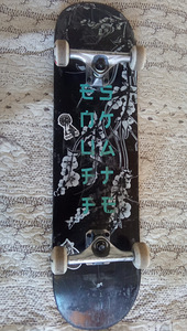 Скейт / Skate / Rula / Skateboard / Скейтборд (1 фото из 7)