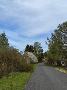 Toome tee 2, Ülgase, Jõelähtme vald, Harjumaa (1 foto / 5)