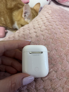 Чехол AirPods (2 фото из 3)