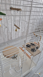 Клетка (4 фото из 7)
