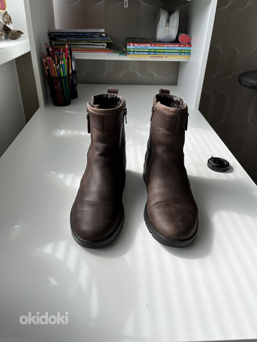 Ботинки осенние Ecco 37р. 24 см (фото #2)