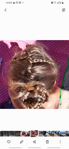 Barrettes soengud (6 foto / 7)