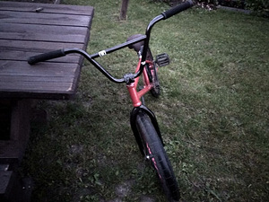 BMX trikiratas (3 foto / 4)