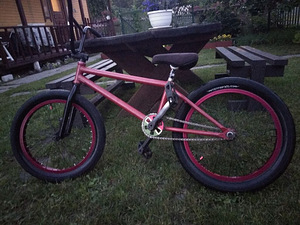 BMX trikiratas (4 foto / 4)