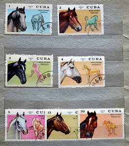 Kuuba margid 1970ndad (2 foto / 3)