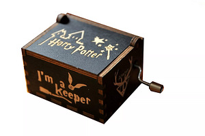 Muusikakast Harry Potter (2 foto / 4)