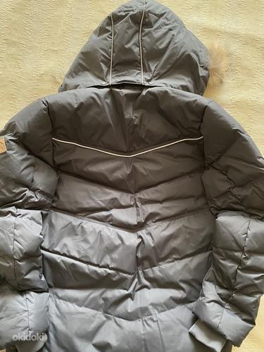 Talve jope HUPPA/ Зимняя куртка HUPPA (фото #2)