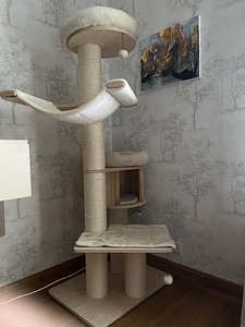 Кошачий дом (2 фото из 2)