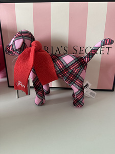 Legendaarne Victoria’s Secret Pink koerake! (1 foto / 2)