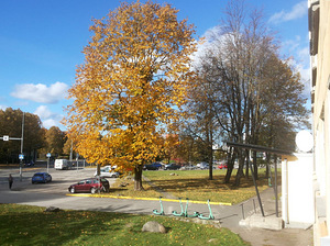 Kotka tn 1, Kristiine, Tallinn, Harjumaa (12 foto / 12)
