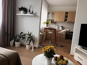 Kivila tn 17, Lasnamäe, Tallinn, Harjumaa (3 фото из 15)