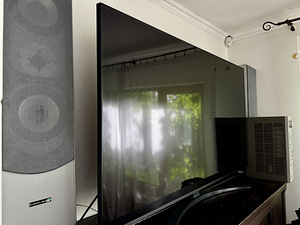 LG 55 (5 foto / 5)
